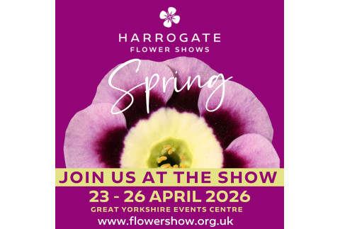 Harrogate Spring Flower Show